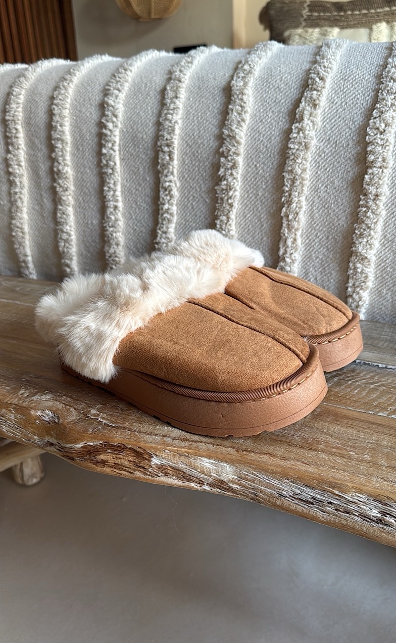 Zapatilla Camel Home